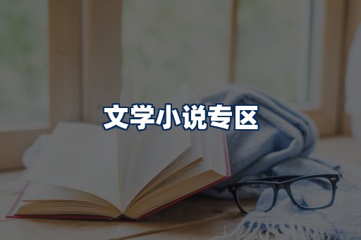 文学小说PDF展示